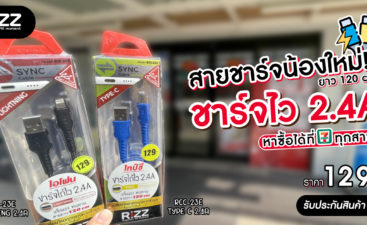 Article-Rizz-New-PD-สายชาร์จ-2_4A-1